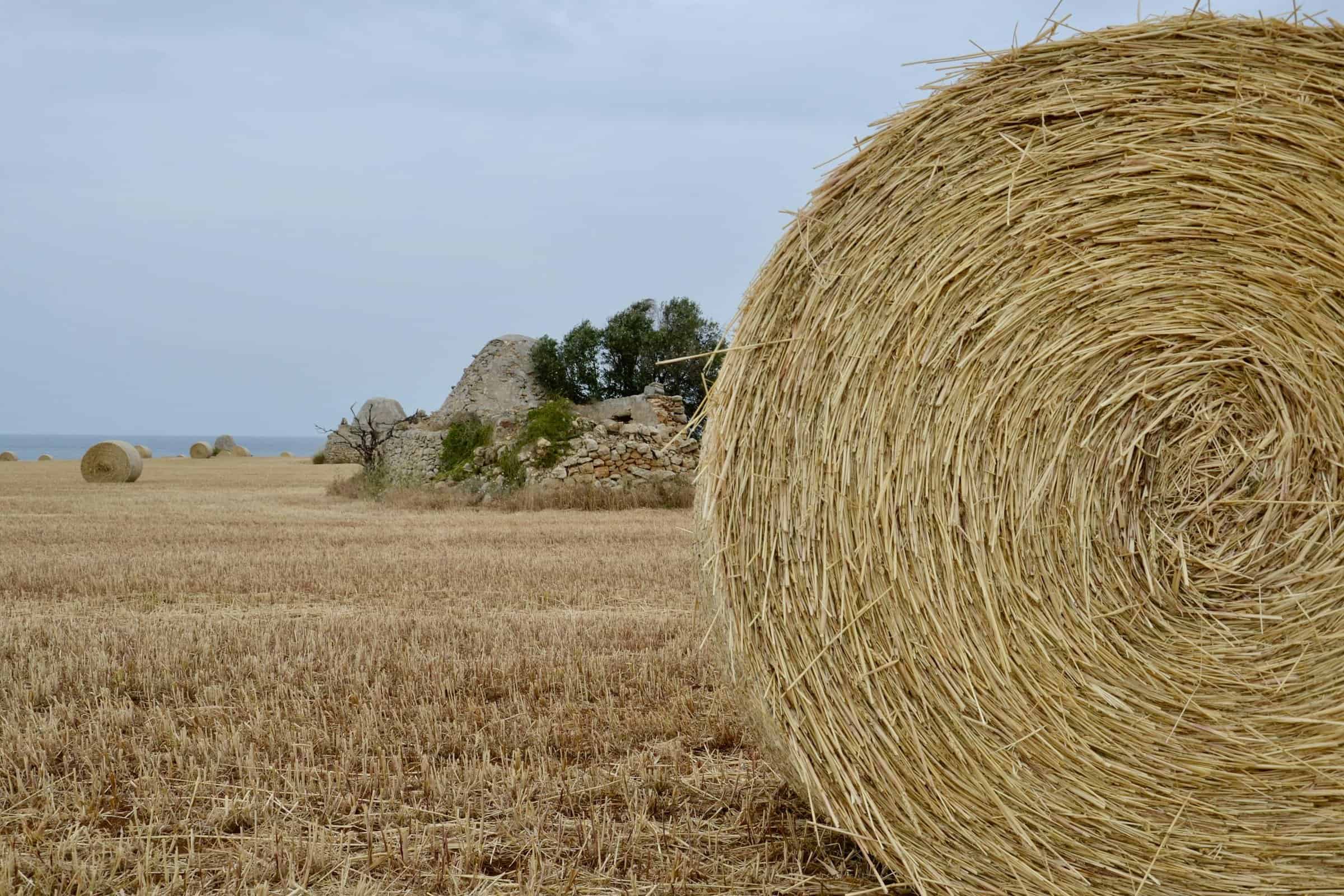 Close-up Photo of Hay Bale